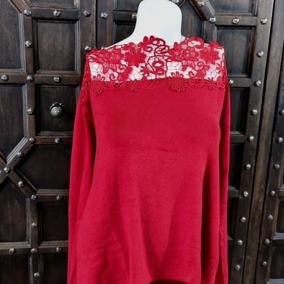 Holiday classic! Lace top sweater, super soft material. Gorgeous detail! Size XL - Picture 1 of 6